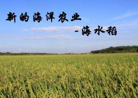 華為要種地了！??！ ——智慧農(nóng)業(yè)