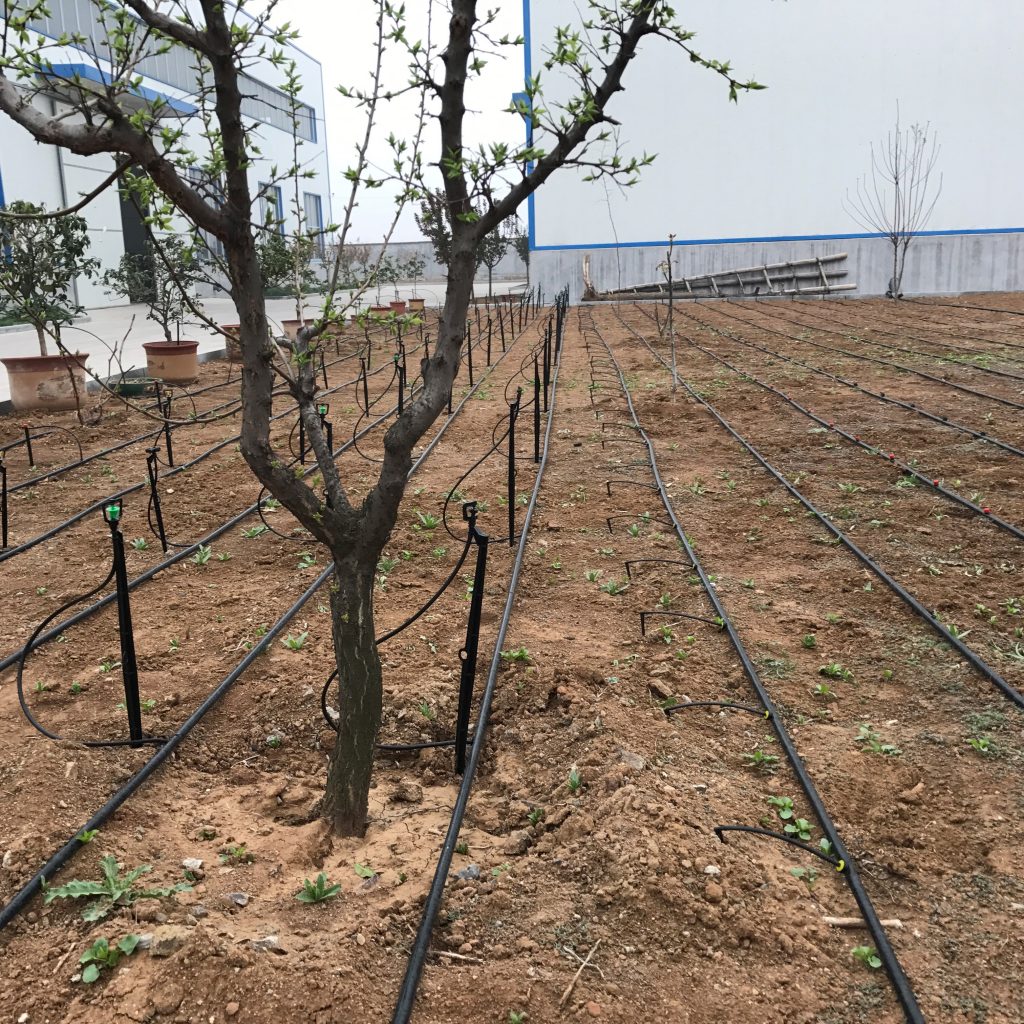 園林噴灌、滴灌、微噴